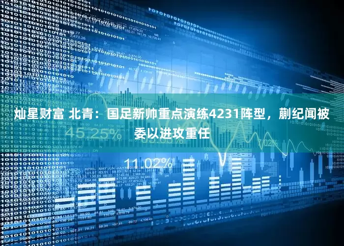 灿星财富 北青：国足新帅重点演练4231阵型，蒯纪闻被委以进攻重任