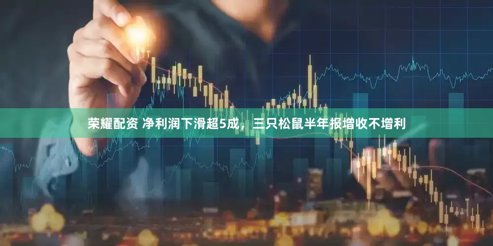 荣耀配资 净利润下滑超5成，三只松鼠半年报增收不增利