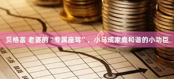 贝格富 老婆的“专属座驾”，小马成家庭和谐的小功臣